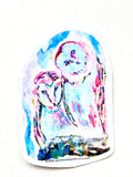 Celestial Keepers vinyl sticker featuring two colorful owls in blue and pink from the Starlit Aviary collection