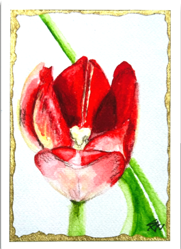 Ember in Bloom 5x7 art print featuring an expressive red tulip with green stems and a hand-painted gold border