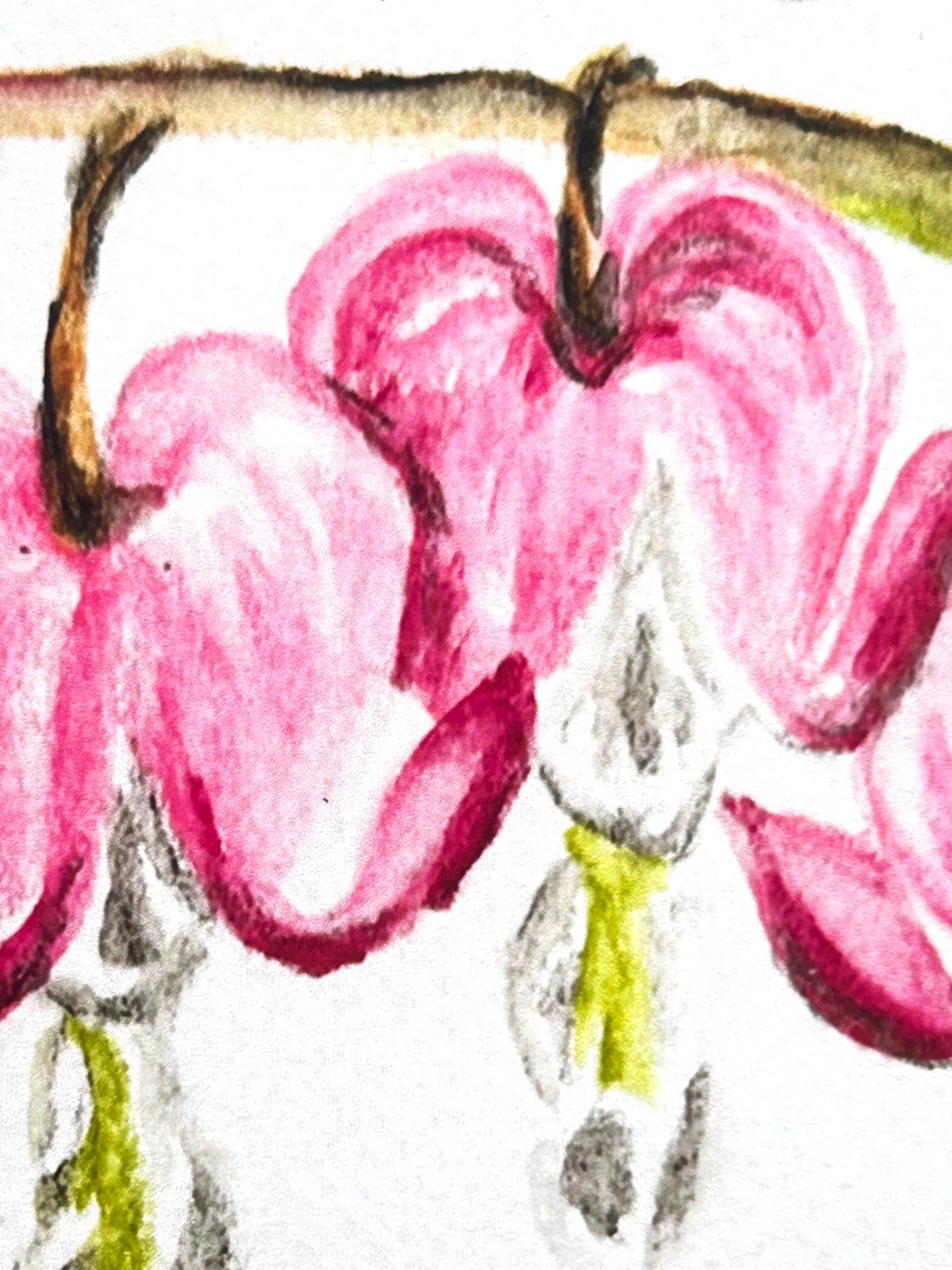 Close-up of Hearts in Bloom 5x7 art print showing pink bleeding heart flowers and watercolor texture