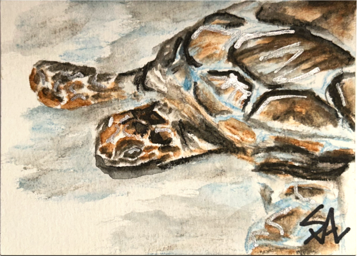 Quiet Reflection original 2.5x3.5 miniature sea turtle artwork by Shalee Talbert