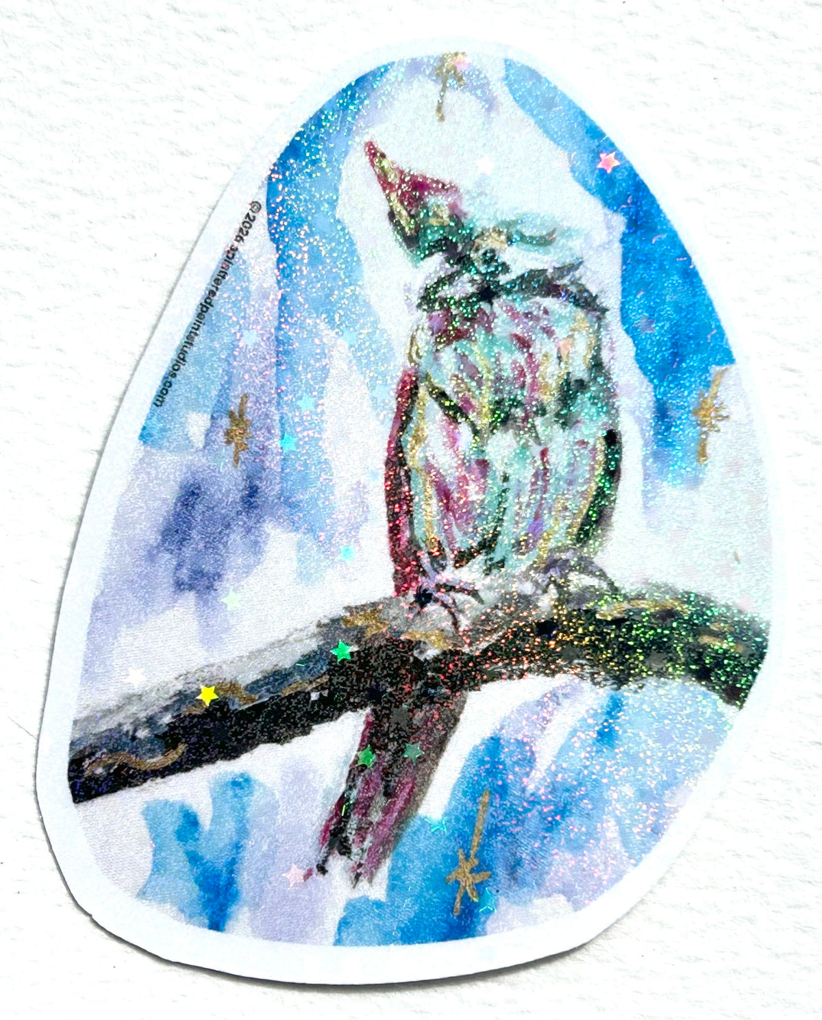Close-up of Starward Vigil vinyl art sticker featuring a colorful parrot with shimmering star details