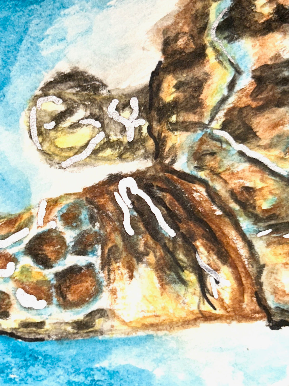Close-up of Sunlit Drift ACEO sea turtle artwork in watercolor pencil