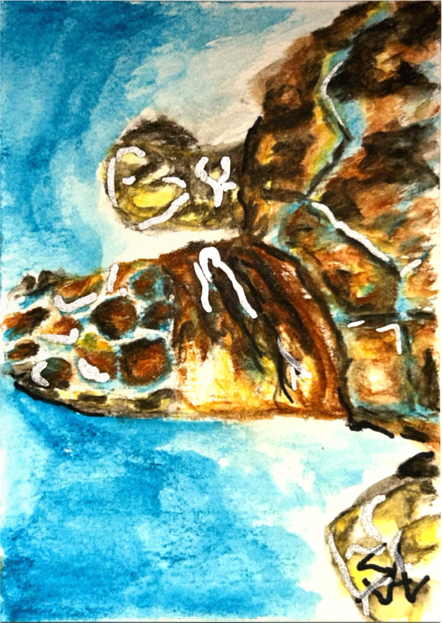 Sunlit Drift original 2.5x3.5 sea turtle miniature artwork by Shalee Talbert