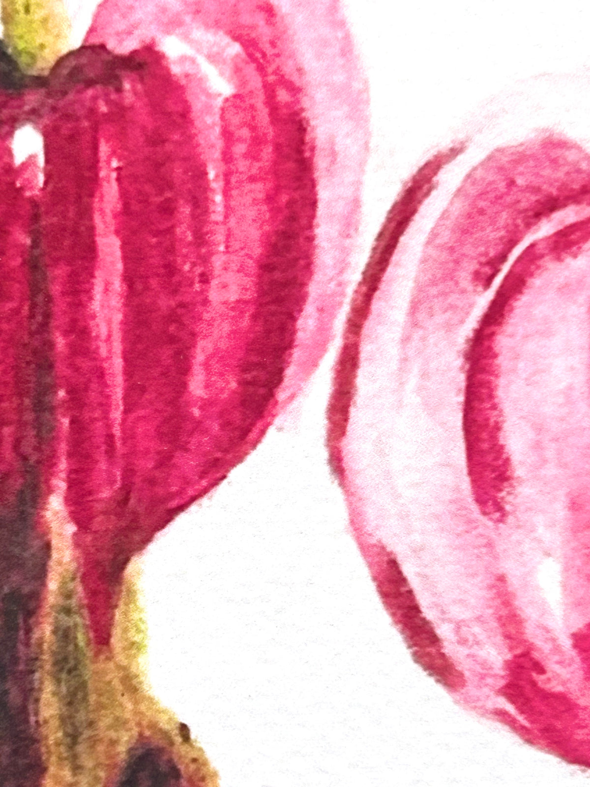 Close-up of Twin Devotion art print showing layered pink and burgundy details of two bleeding heart flowers