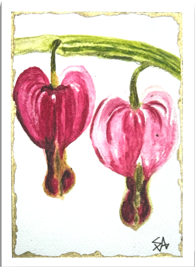 Twin Devotion 5x7 art print featuring two expressive pink bleeding heart flowers with green stems and a gold border