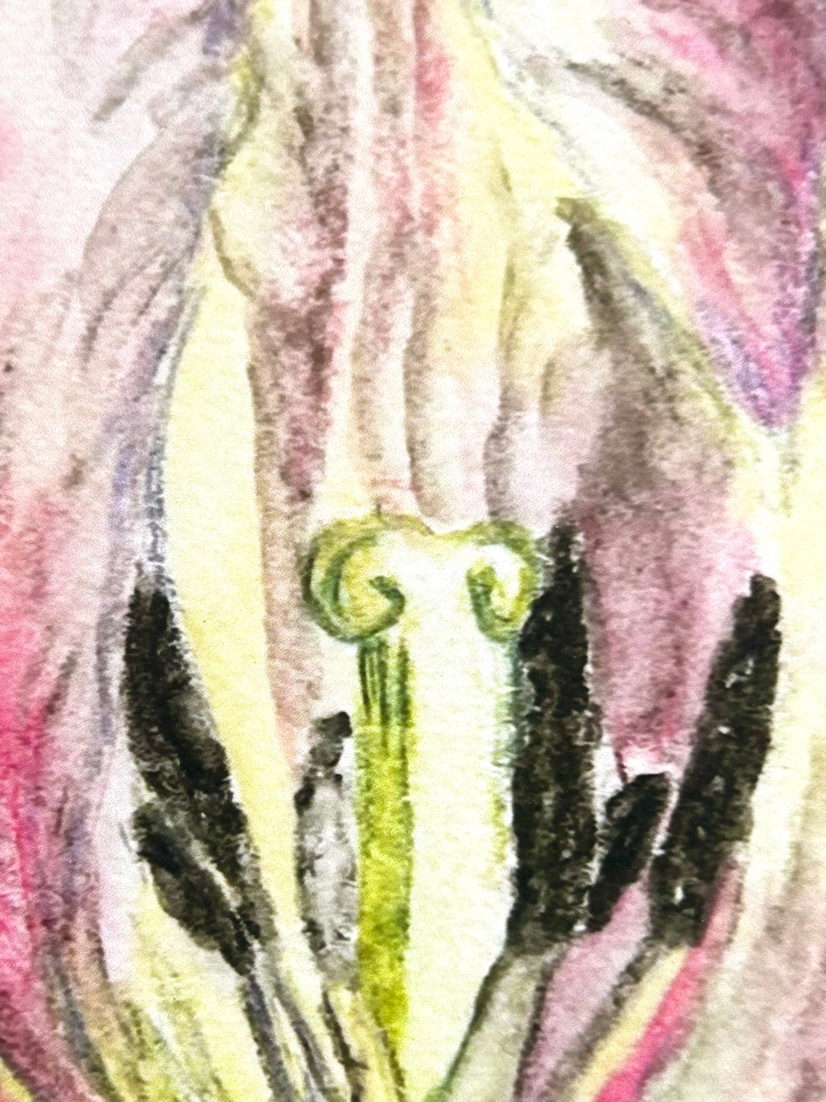 Close-up detail of Veil of Becoming showing the pink, green, and black floral artwork