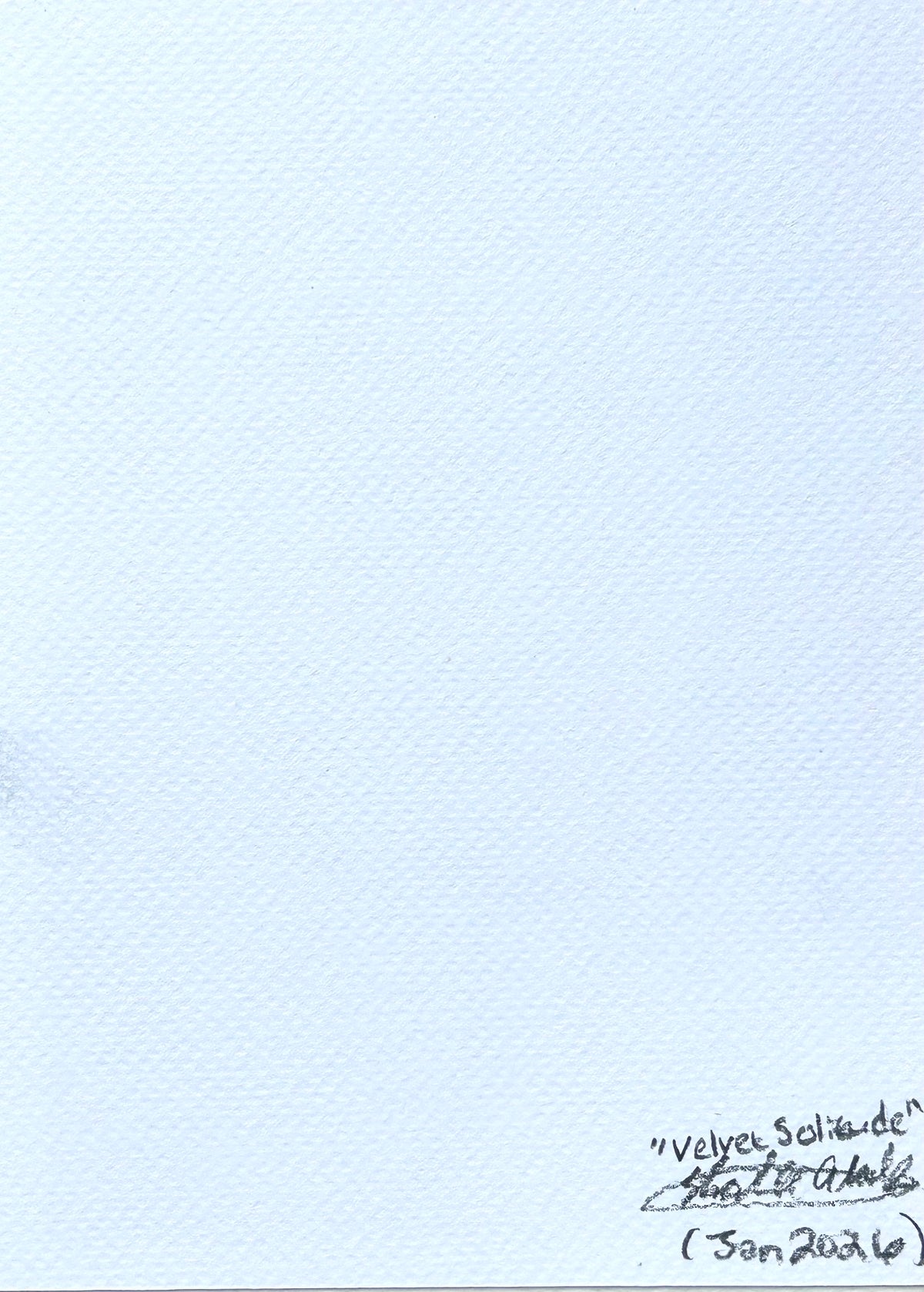 Back of Velvet Solitude 5x7 art print showing Shalee Talbert's signature, artwork title, and January 2026 date