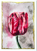 Velvet Solitude 5x7 art print featuring an expressive deep pink tulip with a textured gray and pink background and gold border