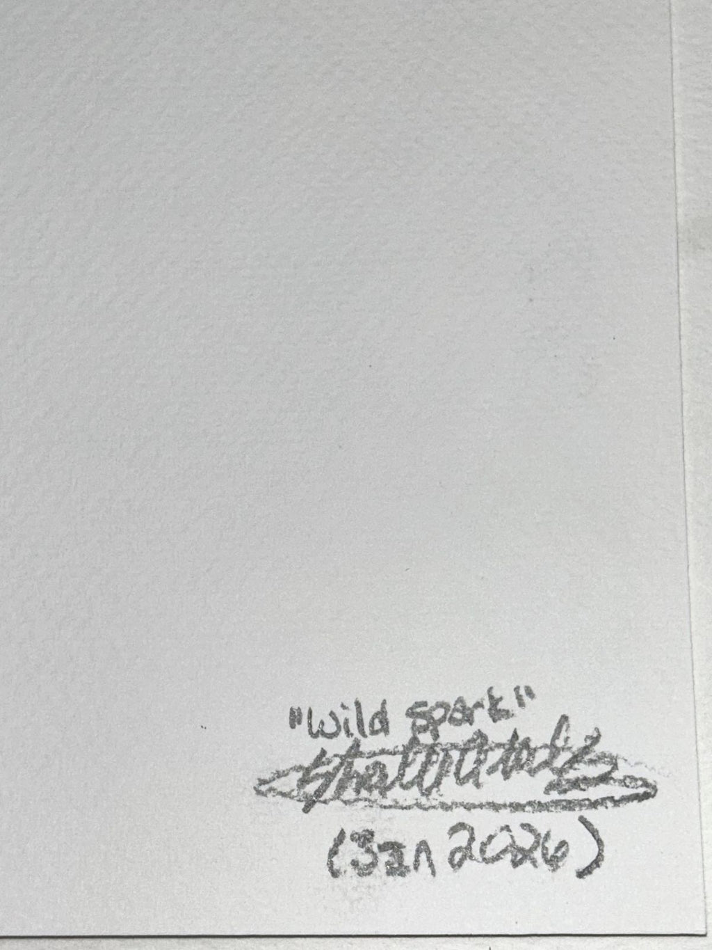 Back of Wild Spark fine art print showing the handwritten title, artist signature, and date.